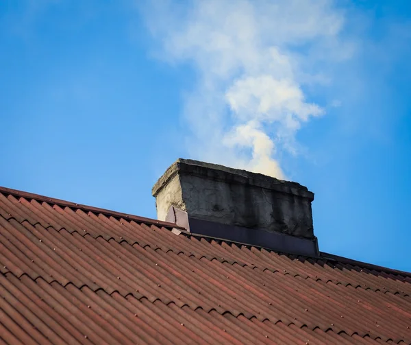 Professional chimney technician performing inspection